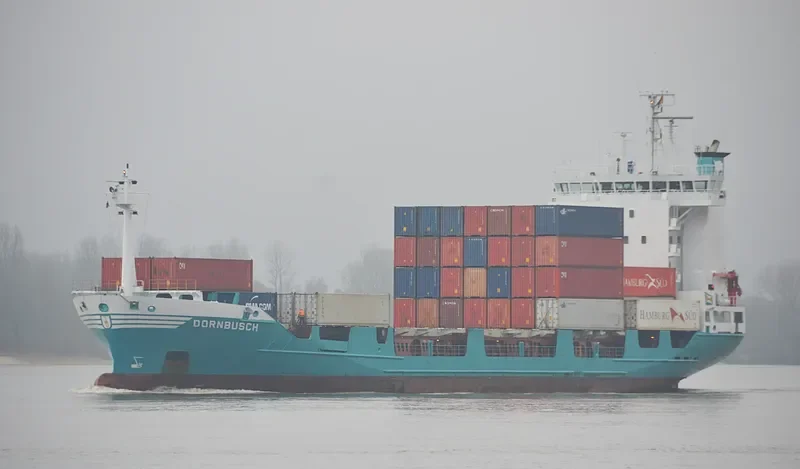DORNBUSCH Container Ship IMO 9126211 photo 3