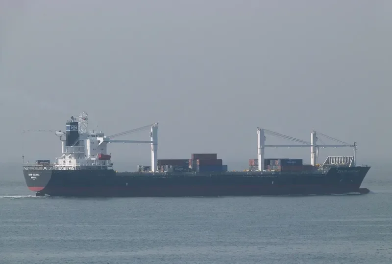 SANTA GIULIANA Container Ship IMO 9126481 photo 10