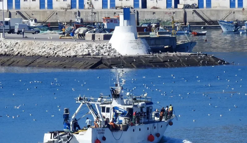 FILIPA IRMO General Cargo IMO 9126601