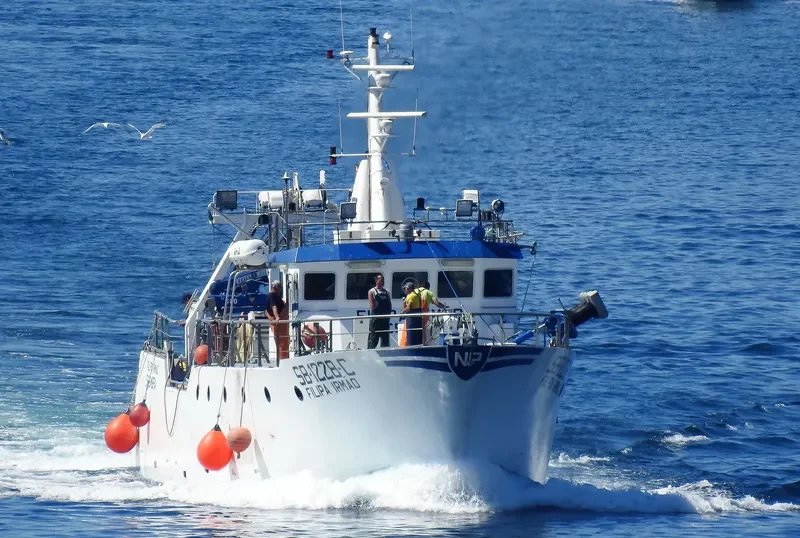 FILIPA IRMO General Cargo IMO 9126601 photo 3