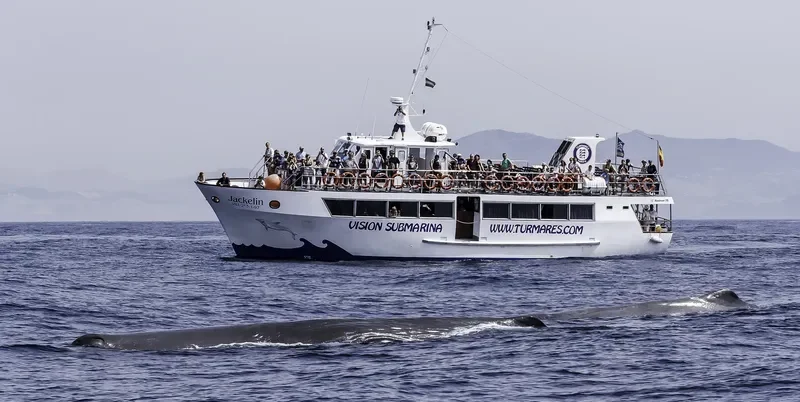 JACKELIN Passenger Ship IMO 9126651 photo 5