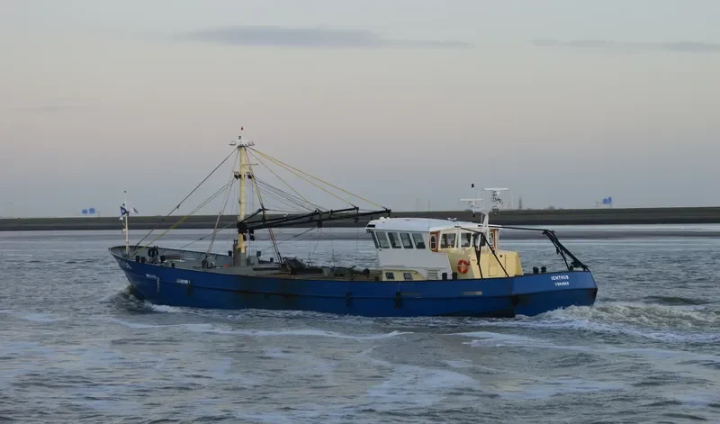 YE58 ICHTHUS General Cargo IMO 9126699