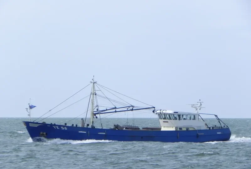 YE58 ICHTHUS General Cargo IMO 9126699 photo 6