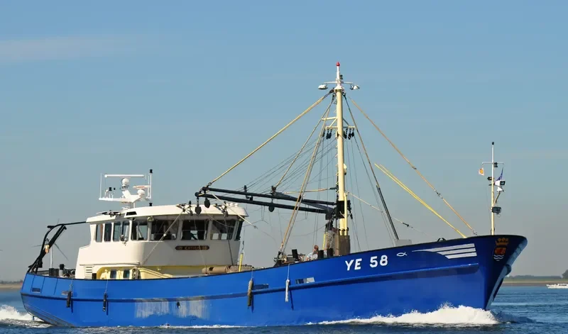 YE58 ICHTHUS General Cargo IMO 9126699 photo 8