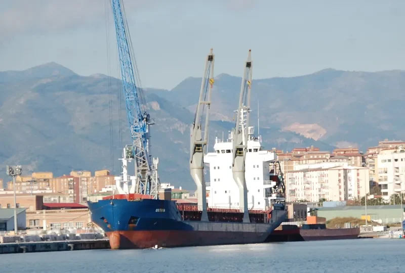 RS PIONEER General Cargo IMO 9126730 photo 10