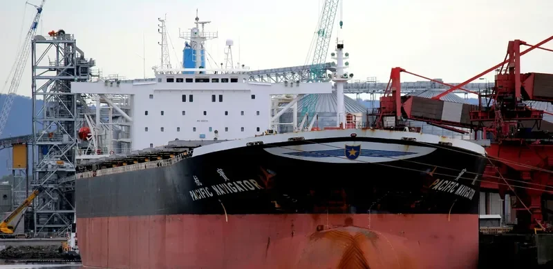 PACIFIC NAVIGATOR Bulk Carrier IMO 9126780 photo 3