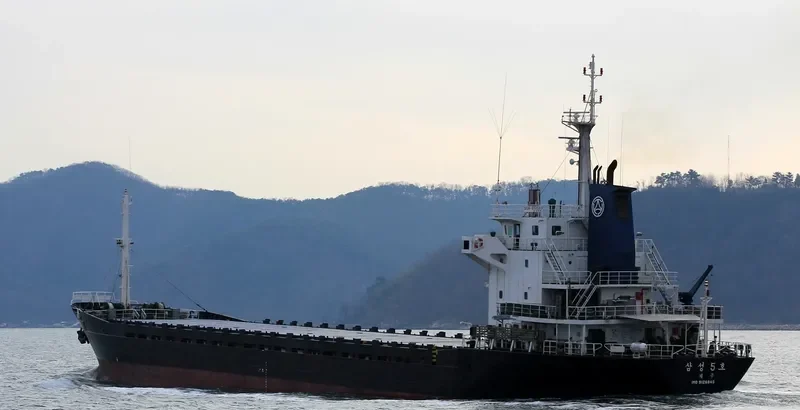 SAMSUNG NO.5 General Cargo IMO 9126845 photo 2