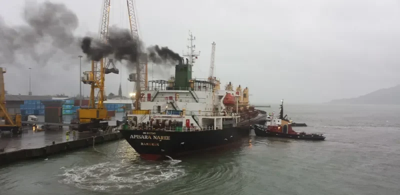 APISARA NAREE Bulk Carrier IMO 9127045 photo 5