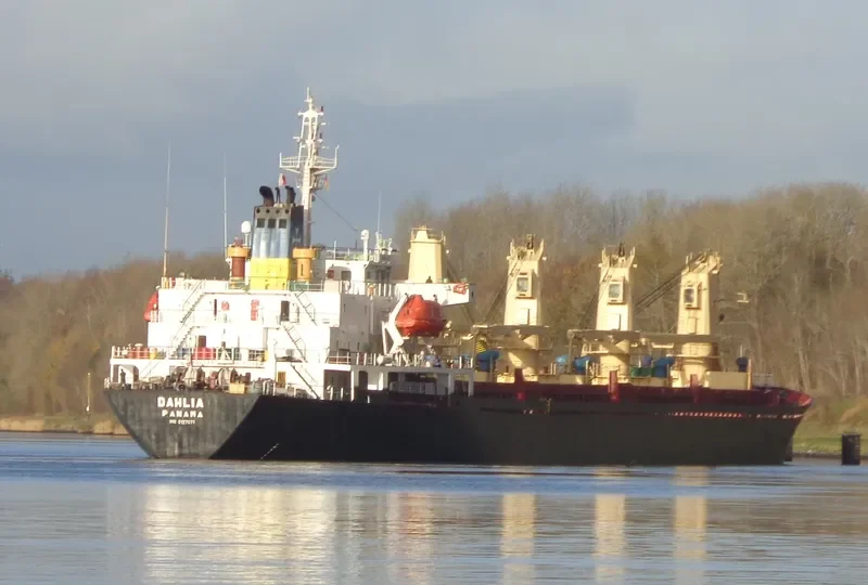 DAHLIA Bulk Carrier IMO 9127071