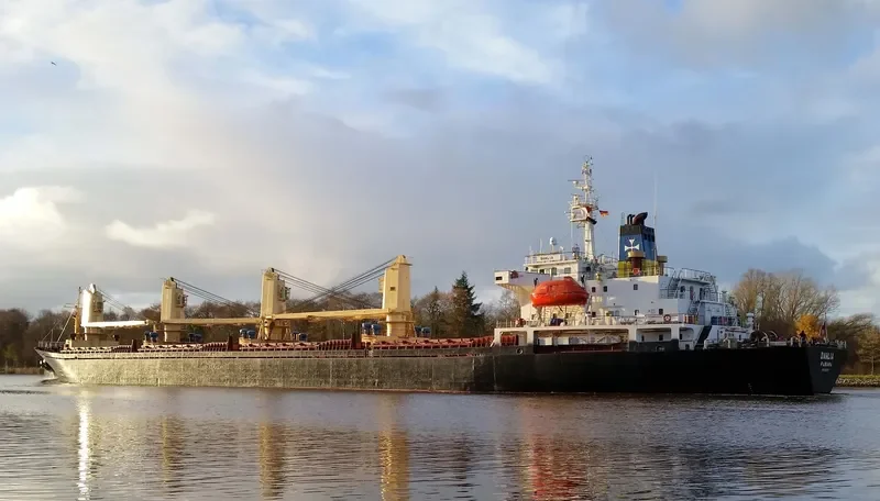 DAHLIA Bulk Carrier IMO 9127071 photo 4