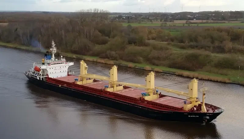 DAHLIA Bulk Carrier IMO 9127071 photo 5