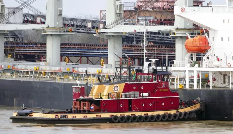 DEE WHITE General Cargo IMO 9127227 photo 2