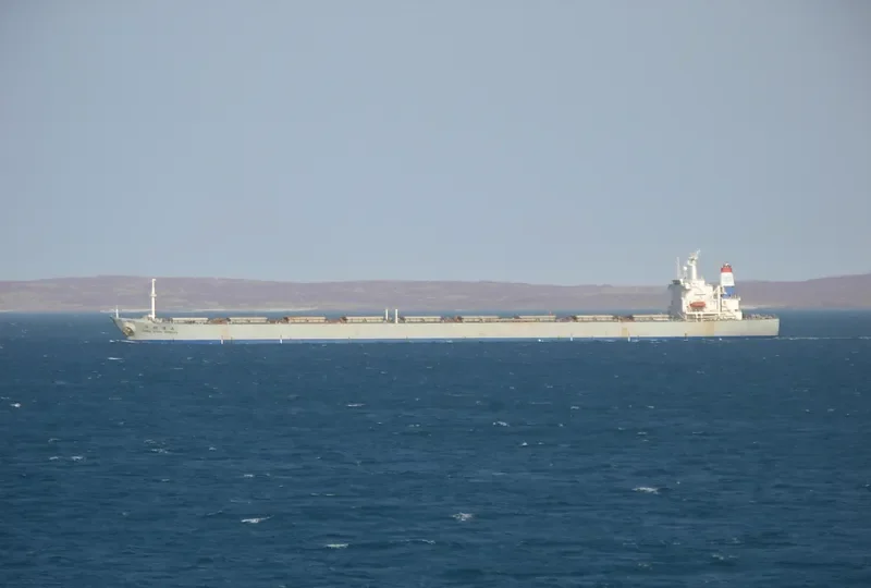 CHINA STEEL EXPRESS Bulk Carrier IMO 9127253 photo 6