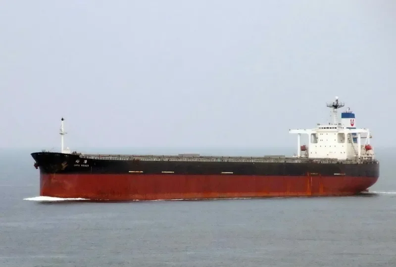 CAPE VENUS Bulk Carrier IMO 9127423