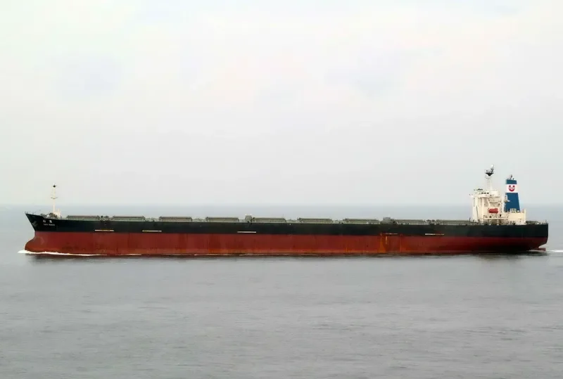 CAPE VENUS Bulk Carrier IMO 9127423 photo 2