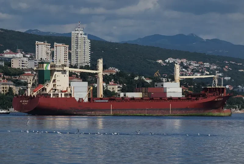 AS VENUS Container Ship IMO 9127514 photo 5