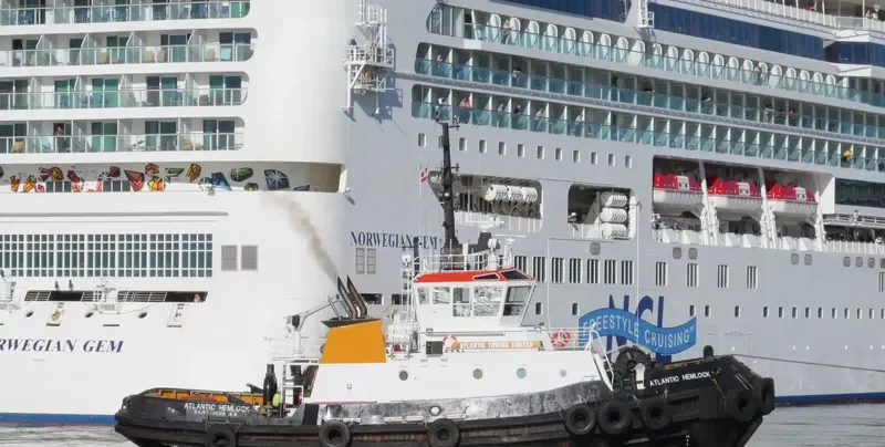 ATLANTIC HEMLOCK General Cargo IMO 9127588 photo 6