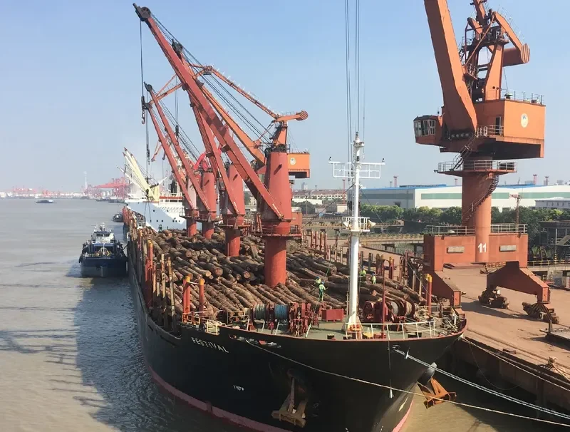FESTIVAL Bulk Carrier IMO 9127681 photo 2