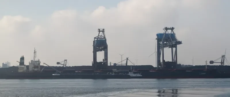 FESTIVAL Bulk Carrier IMO 9127681 photo 6