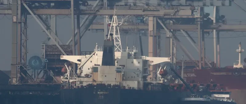 FESTIVAL Bulk Carrier IMO 9127681 photo 8