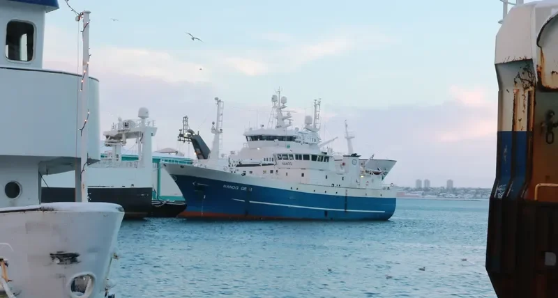 JOKULL General Cargo IMO 9127837