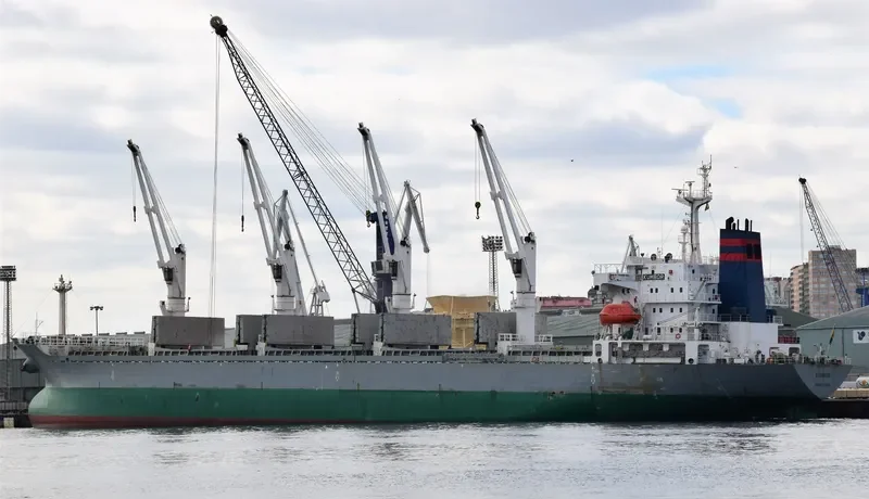LOLO GATE Bulk Carrier IMO 9128104 photo 4