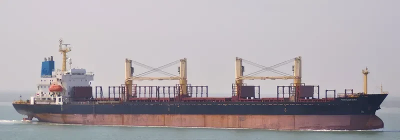 FORTUNE ERA Bulk Carrier IMO 9128116