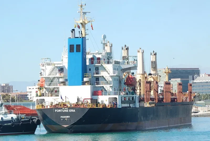 FORTUNE ERA Bulk Carrier IMO 9128116 photo 4