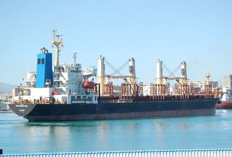 FORTUNE ERA Bulk Carrier IMO 9128116 photo 5