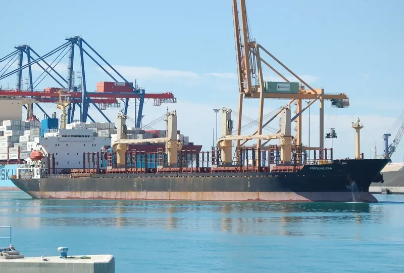 FORTUNE ERA Bulk Carrier IMO 9128116 photo 6