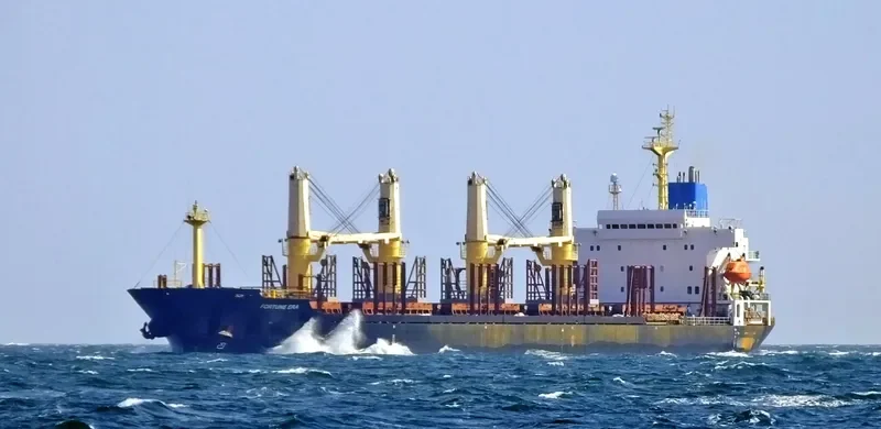 FORTUNE ERA Bulk Carrier IMO 9128116 photo 7