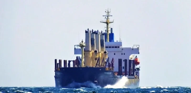 FORTUNE ERA Bulk Carrier IMO 9128116 photo 8