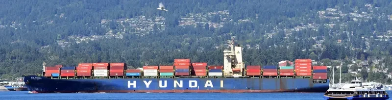 HYUNDAI HIGHNESS Container Ship IMO 9128166 photo 5