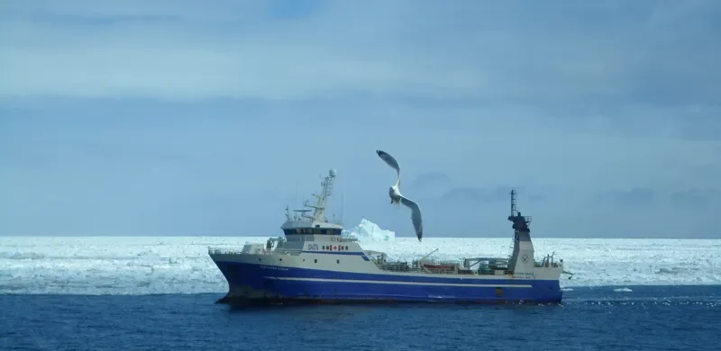NORTHERN EAGLE General Cargo IMO 9128348 photo 6