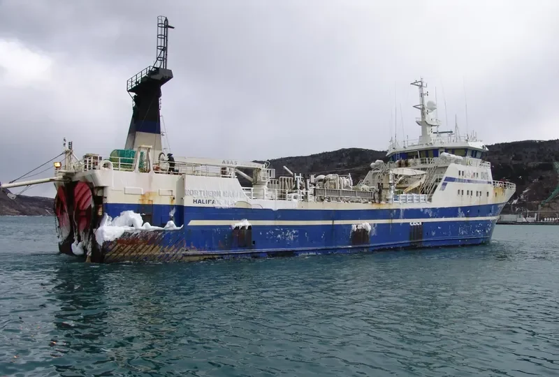 NORTHERN EAGLE General Cargo IMO 9128348 photo 8