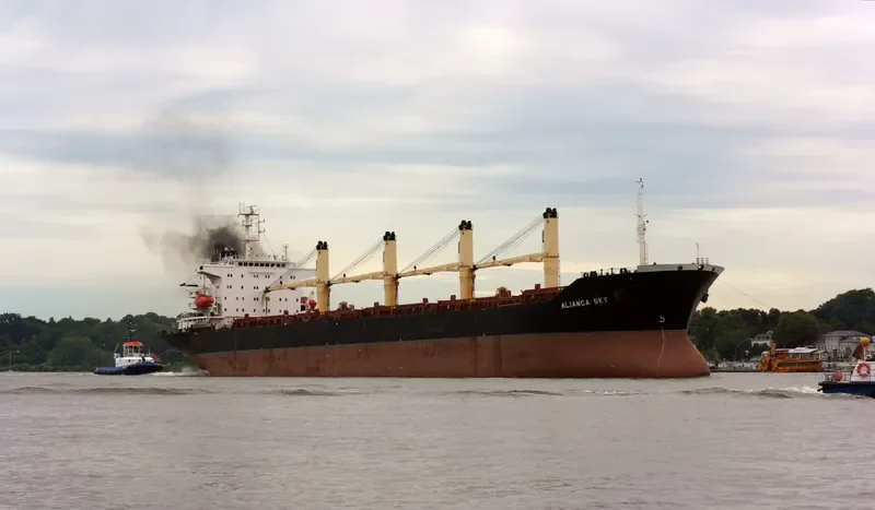 ALIANCA SKY Bulk Carrier IMO 9128441 photo 5