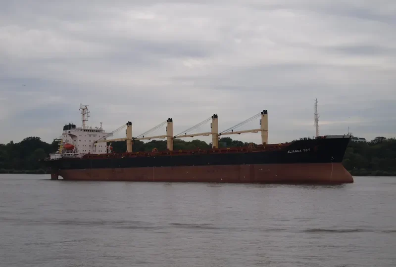 ALIANCA SKY Bulk Carrier IMO 9128441 photo 9