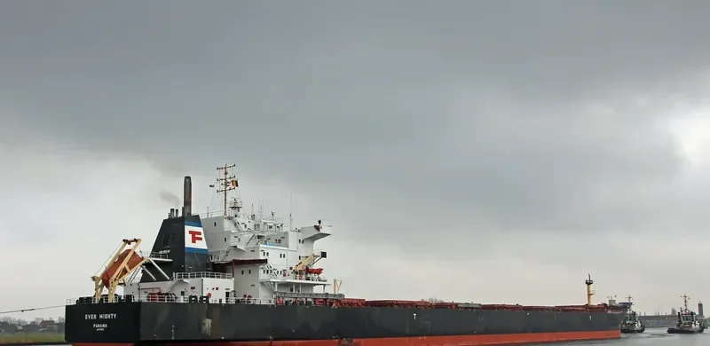EVER MIGHTY Bulk Carrier IMO 9128489 photo 9