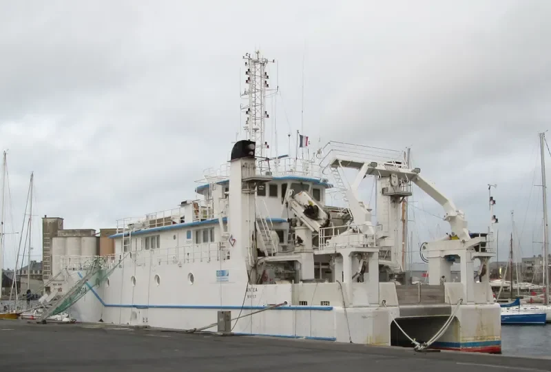 ANTEA Passenger Ship IMO 9128506 photo 6