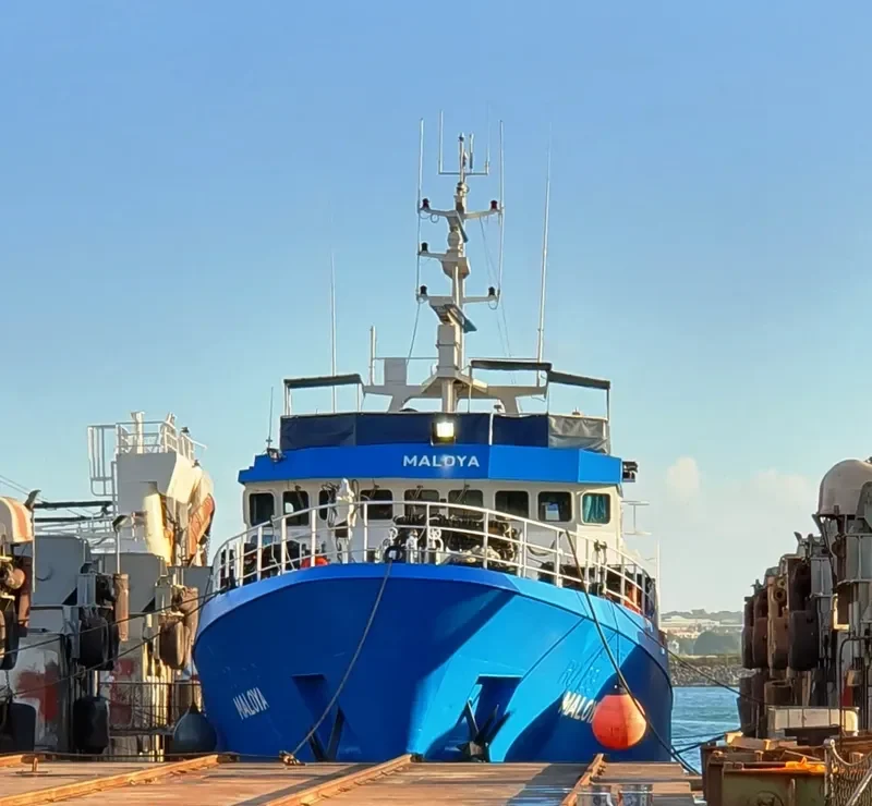 MALOYA General Cargo IMO 9128518 photo 3