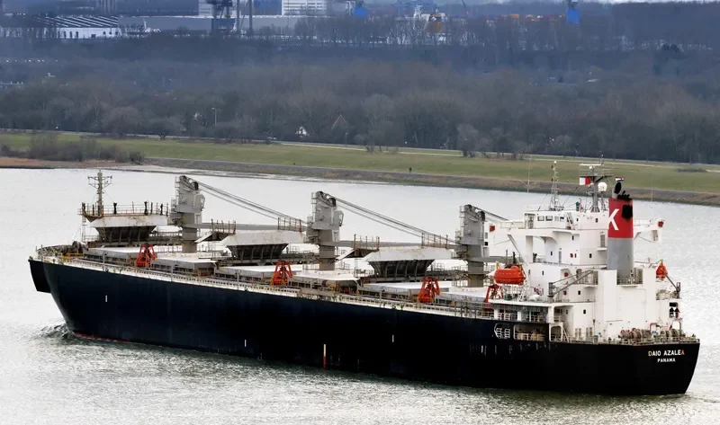 GREEN HARVEST Bulk Carrier IMO 9128570 photo 5