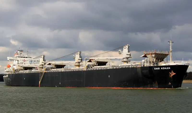 GREEN HARVEST Bulk Carrier IMO 9128570 photo 8