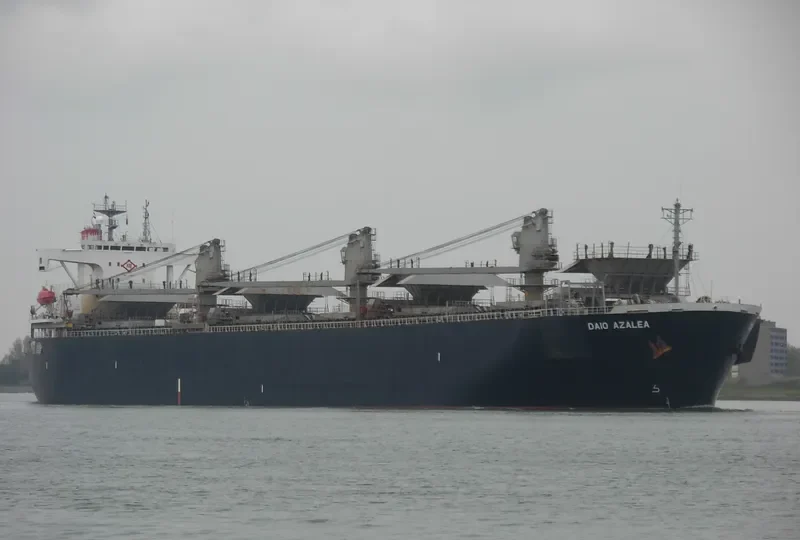 GREEN HARVEST Bulk Carrier IMO 9128570 photo 10