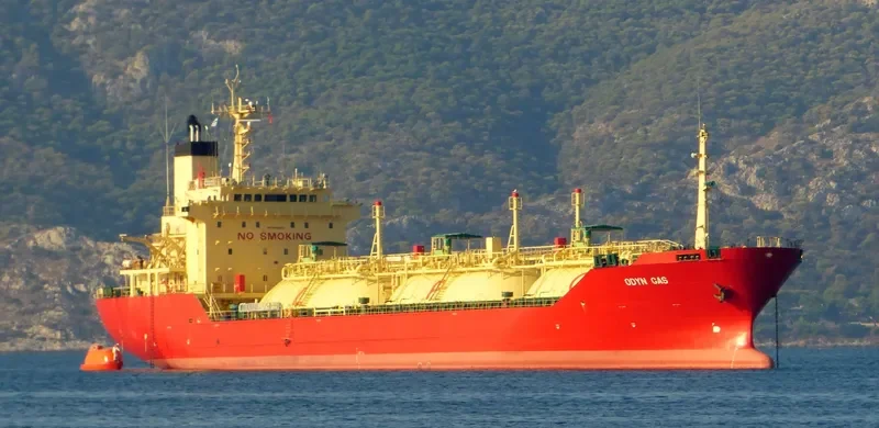 SENNA 8 General Cargo IMO 9128673 photo 8