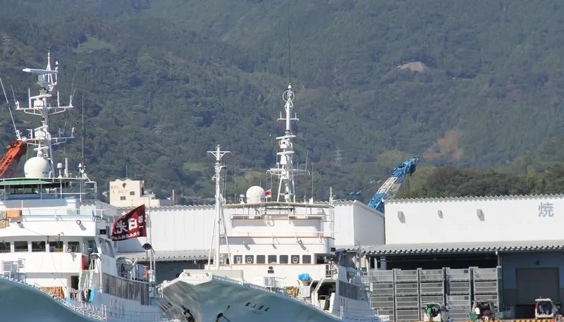 ASAHI MARU NO.8 General Cargo IMO 9128697 photo 6