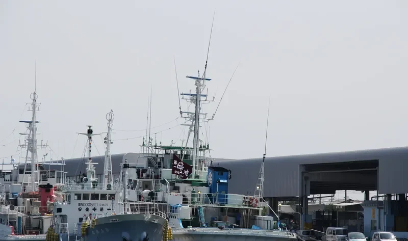 NIKKO MARU NO.1 General Cargo IMO 9128702