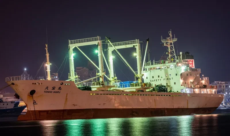 TENHO MARU General Cargo IMO 9128764 photo 5