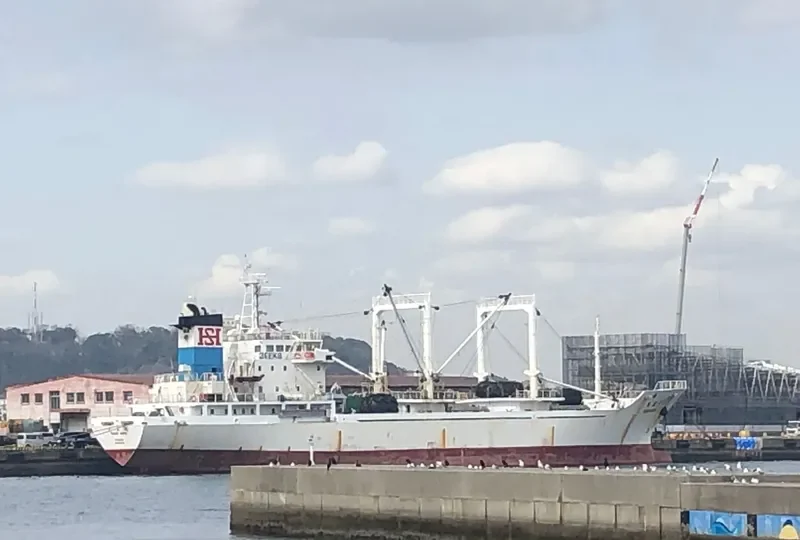 TENHO MARU General Cargo IMO 9128764 photo 6
