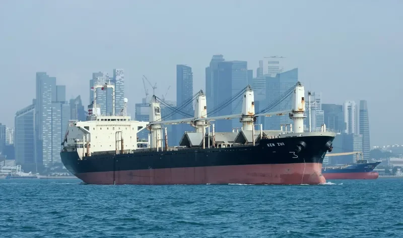 CAHAYA MUSTIKA LAUT 1 Bulk Carrier IMO 9128805