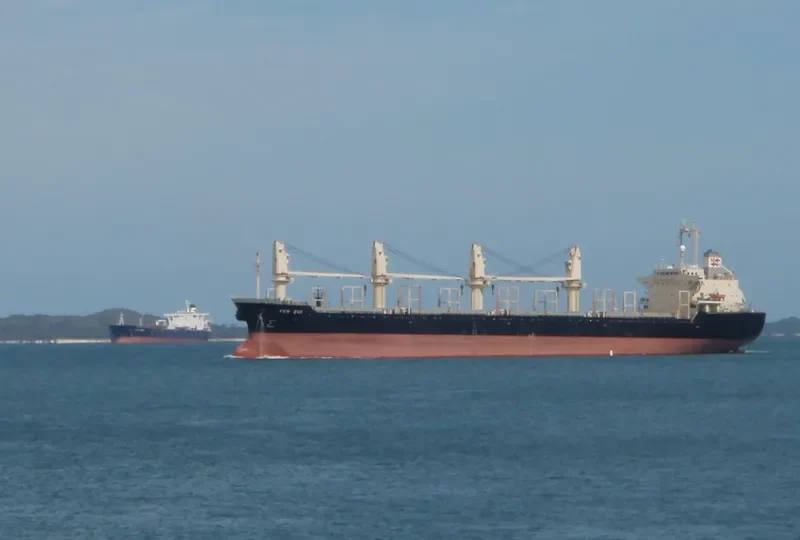CAHAYA MUSTIKA LAUT 1 Bulk Carrier IMO 9128805 photo 2